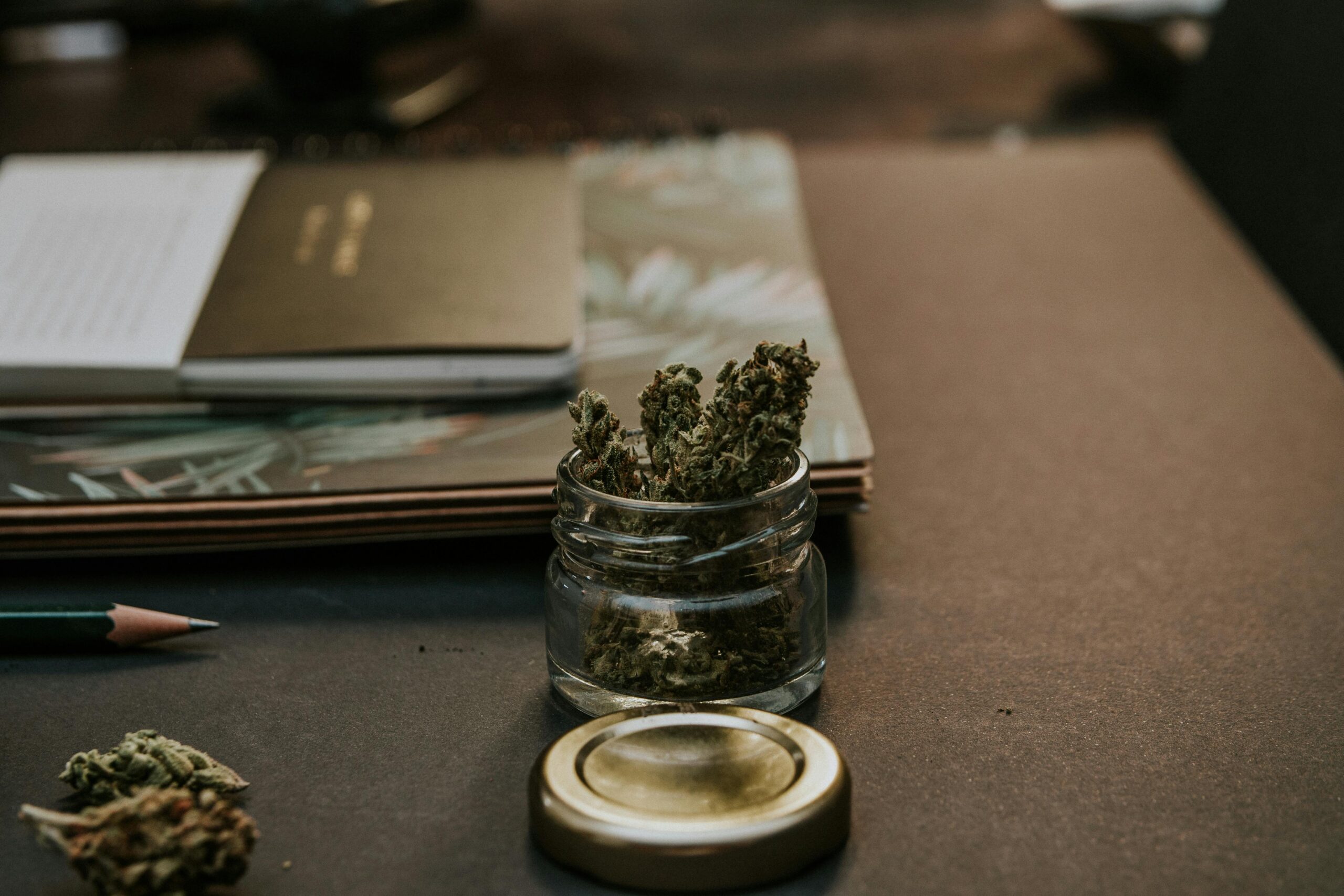 Read more about the article Está no ar a segunda edição do Boletim Cannabis